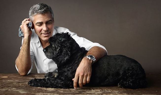 Джордж Клуни и собака