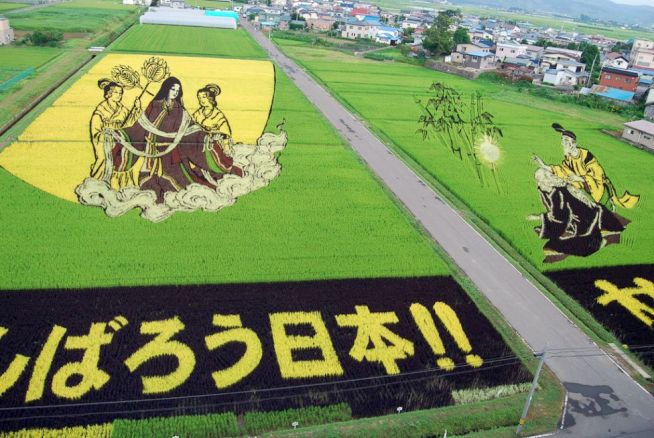 Картина на рисовом поле