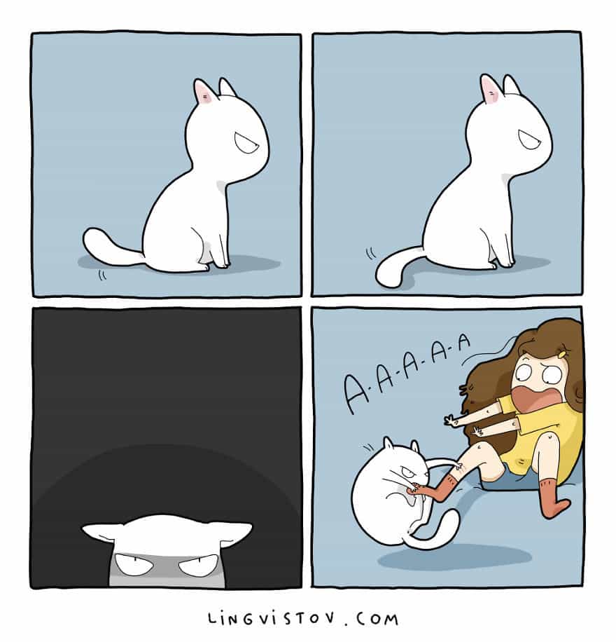 Жизнь домашнего кота рисунки