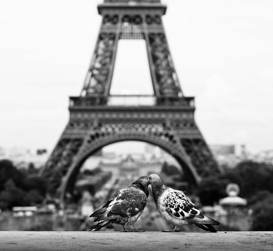 Туры в Париж для влюбленных