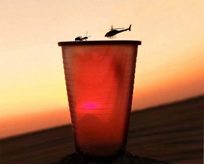 Битва века: муравей против вертолета 