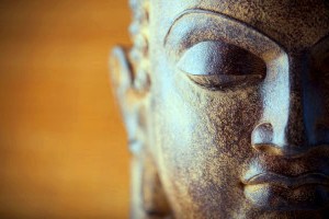 Притча о Будде и воле в яме