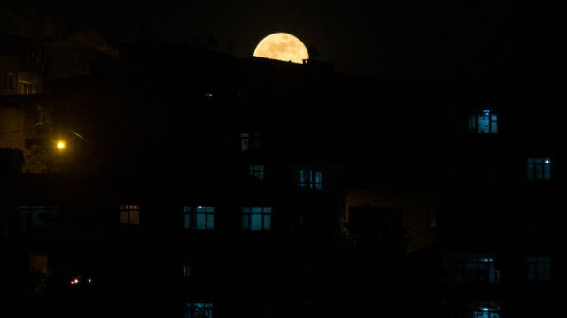 Цветочная луна