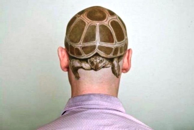 Тату в виде черепахи на голове