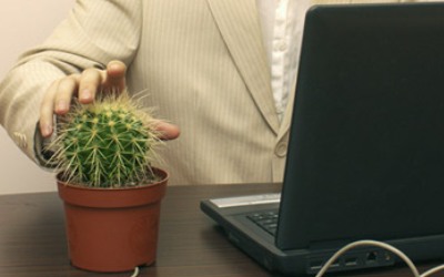 Растения на рабочем месте помогают снизить уровень стресса
